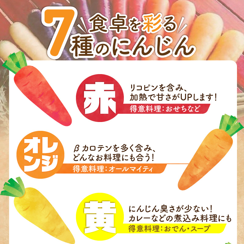 〈予約受付〉 メディア出演多数！【期間限定】（訳あり） 冬の寒さでぎゅっと濃い！虹色のカラフルにんじん 5kg 鈴盛農園 農家直送 甘い スーパーフード 健康 自慢 ジュース サラダ ギフト 贈り物 βカロテン ポリフェノール リコピン ジューシー 規格外 自慢 おためし H022-017
