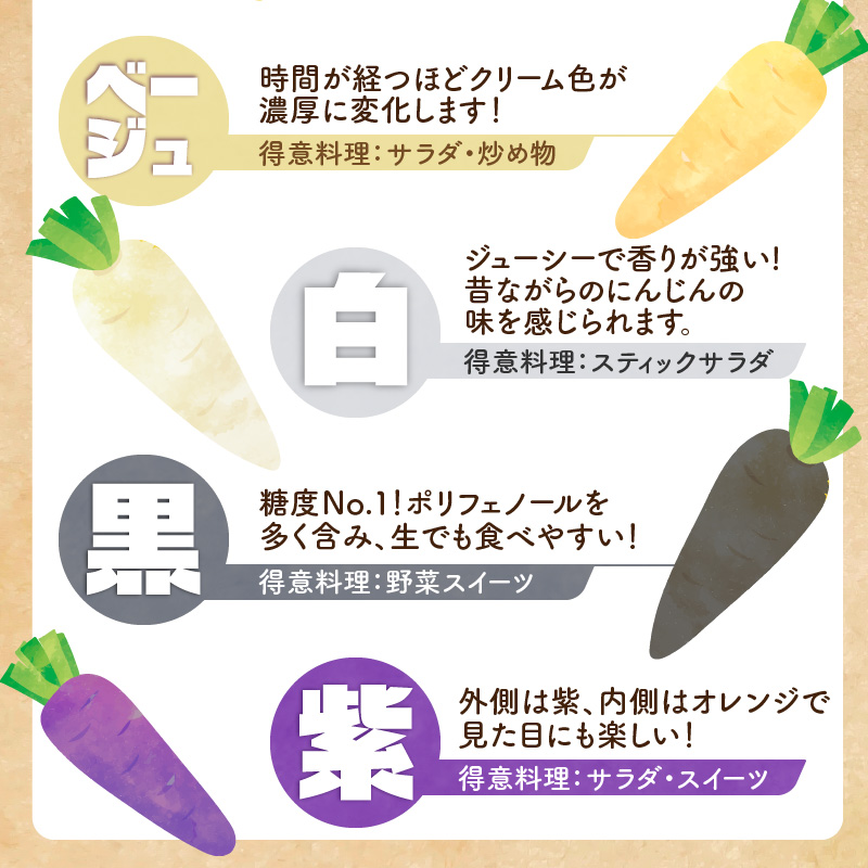 〈予約受付〉 メディア出演多数！【期間限定】（訳あり） 冬の寒さでぎゅっと濃い！虹色のカラフルにんじん 5kg 鈴盛農園 農家直送 甘い スーパーフード 健康 自慢 ジュース サラダ ギフト 贈り物 βカロテン ポリフェノール リコピン ジューシー 規格外 自慢 おためし H022-017
