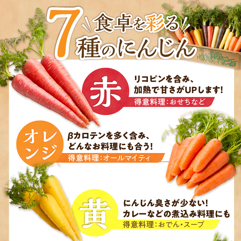 〈予約受付〉メディア出演多数！【期間限定】 冬の寒さでぎゅっと濃い！虹色のカラフルにんじん5kg H022-012