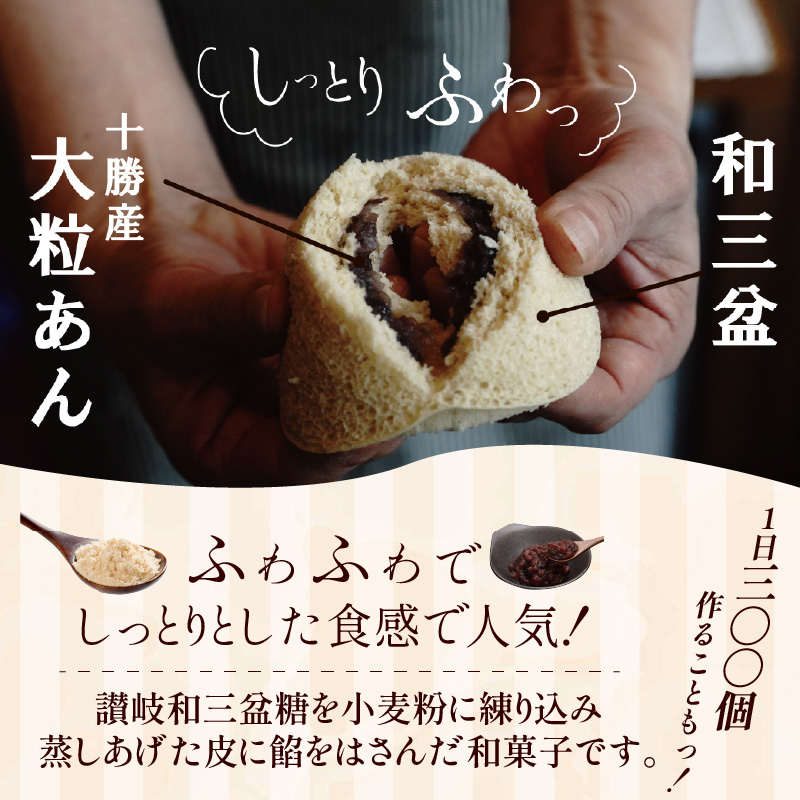 【蒸しどら3種 5個入 】和三盆 プレーン×3 抹茶×1 コーヒー×1 どら焼き 和菓子 餡 ふわふわ しっとり食感 あいちの匠 ものづくりマイスター 優秀和菓子職 愛知県優秀技能者表彰受賞 H181-009