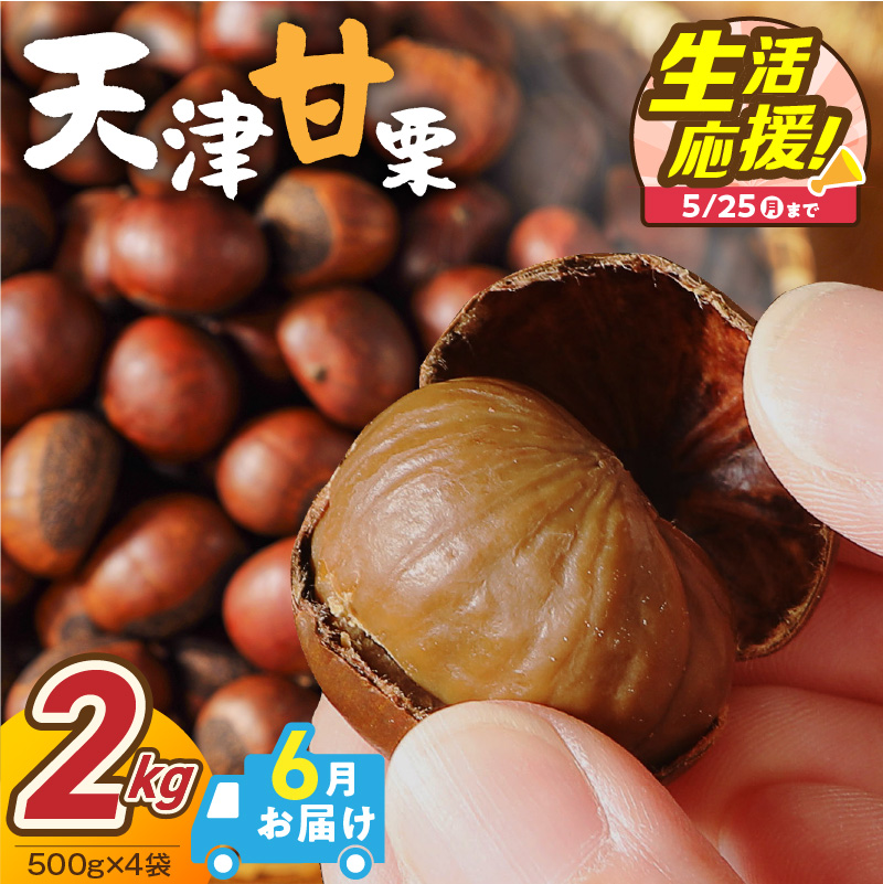 【2026年6月発送】【特別容量 1.6kg⇒2kg】 （ 生活応援 ） この道50年の職人が焼く、やさしい甘みたっっっぷり！「天津甘栗」 2kg 焼きたて 栗 くり 栗爪 殻付き お菓子 おつまみ 人気 高リピート 小分け 栗ご飯 栗きんとん 甘露煮 選べる 発送月 感謝を込めて 碧南市 H045-107_Jun