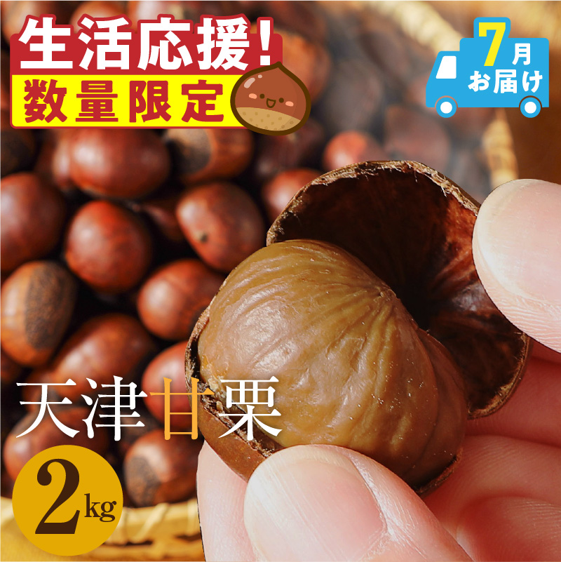 【2026年7月発送】【特別容量 1.6kg⇒2kg】 （ 生活応援 ） この道50年の職人が焼く、やさしい甘みたっっっぷり！「天津甘栗」 2kg 焼きたて 栗 くり 栗爪 殻付き お菓子 おつまみ 人気 高リピート 小分け 栗ご飯 栗きんとん 甘露煮 選べる 発送月 感謝を込めて 碧南市 H045-107_Jul