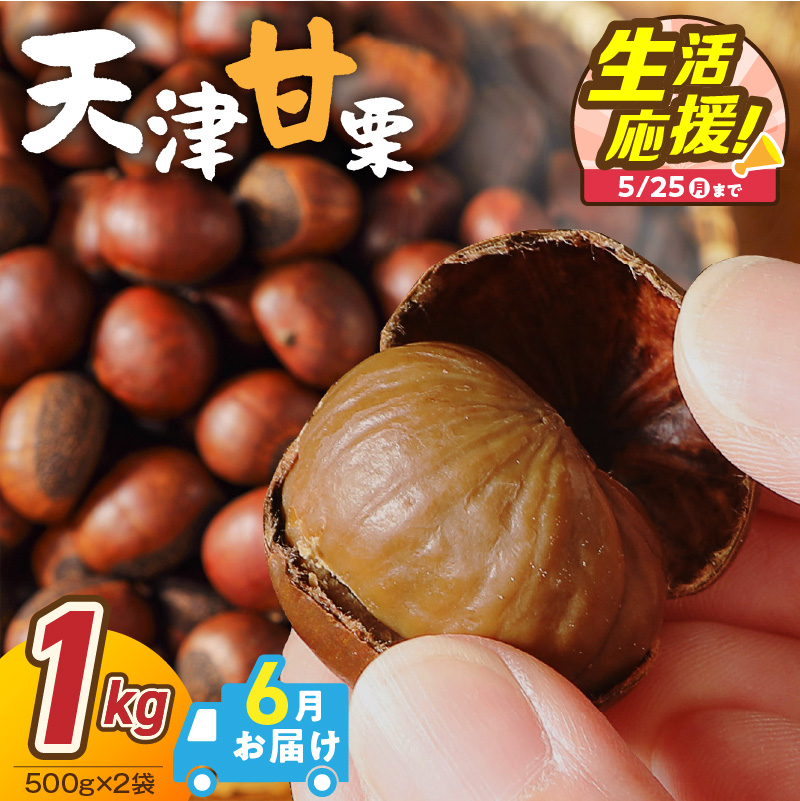 【2026年6月発送】【特別容量 800g⇒1kg】 （ 生活応援 ） この道50年の職人が焼く、やさしい甘みたっっっぷり！「天津甘栗」 1kg 焼きたて 栗 くり 栗爪 殻付き お菓子 おつまみ 人気 高リピート 小分け 栗ご飯 栗きんとん 甘露煮 感謝を込めて 碧南市 H045-106_Jun
