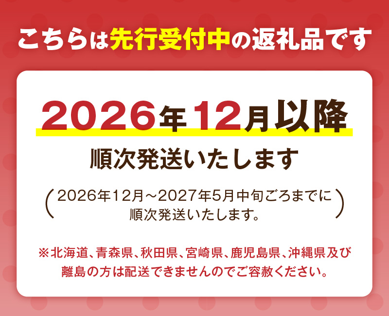 （予約受付中）【12月以降順次発送】まるで赤いサファイア!!丹精込めた完熟いちご!! 約1350g　H130-011