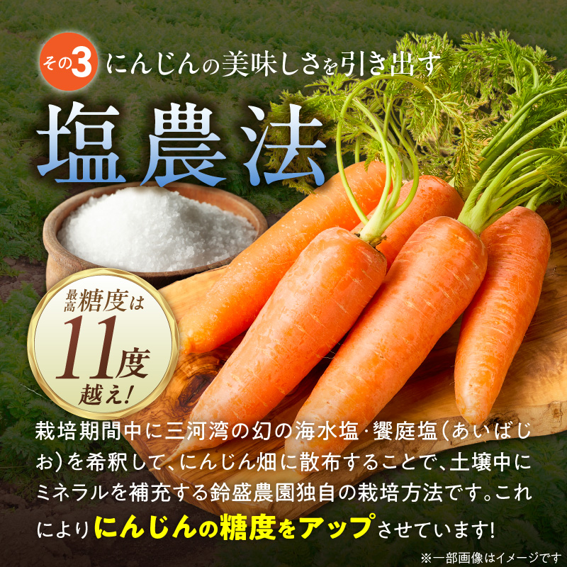 〈予約受付〉メディア出演多数！【期間限定】鈴盛農園の甘～いにんじん スウィートキャロットリリィ 5kg H022-013
