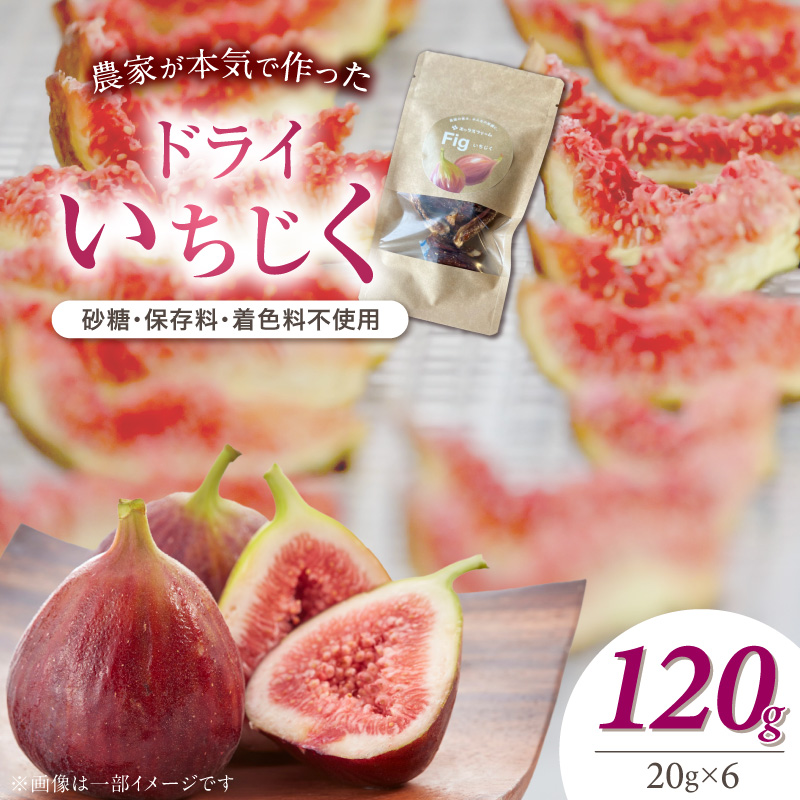 【無添加・砂糖不使用】農家が本気で作ったドライいちじく（20g×6パック） ドライフルーツ 完熟果実 乾燥 自然派 シンプル やさしい 甘い プチプチ イチジク 無花果 H164-013