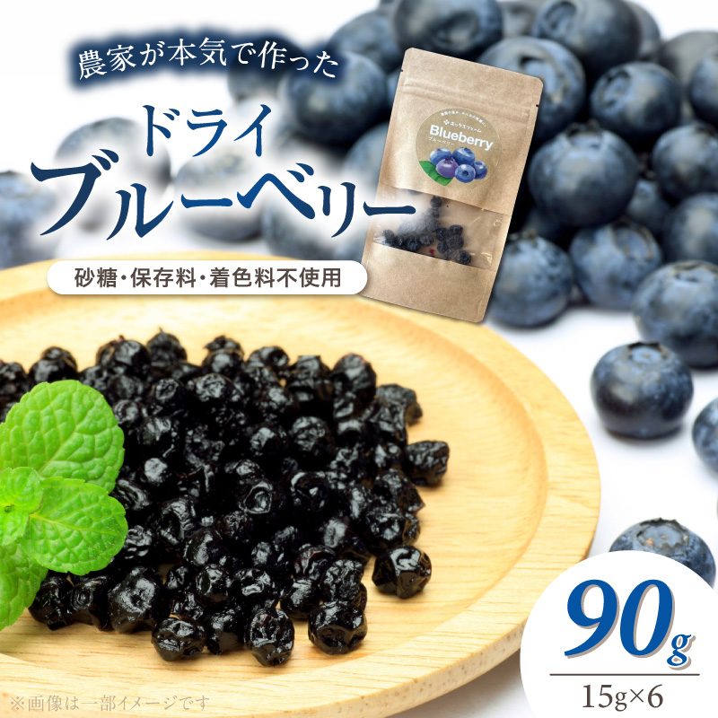 【無添加・砂糖不使用】農家が本気で作ったドライブルーベリー（15g×6パック） ドライフルーツ 乾燥 自然派 シンプル やさしい 甘酸っぱい H164-014