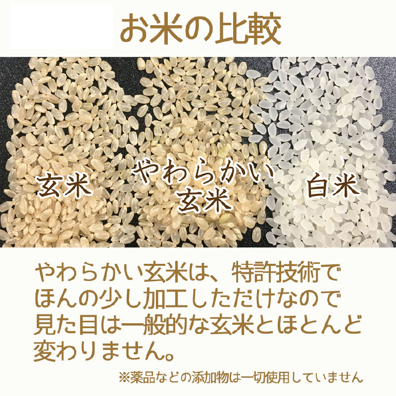 やわらかい玄米 新潟県産コシヒカリ 900g×4袋　※定期便6回　小分け 米 こめ コメ ごはん 栄養豊富 簡単 便利 美容 健康 新食感 もちもち 安心安全なヤマトライス　H074-685