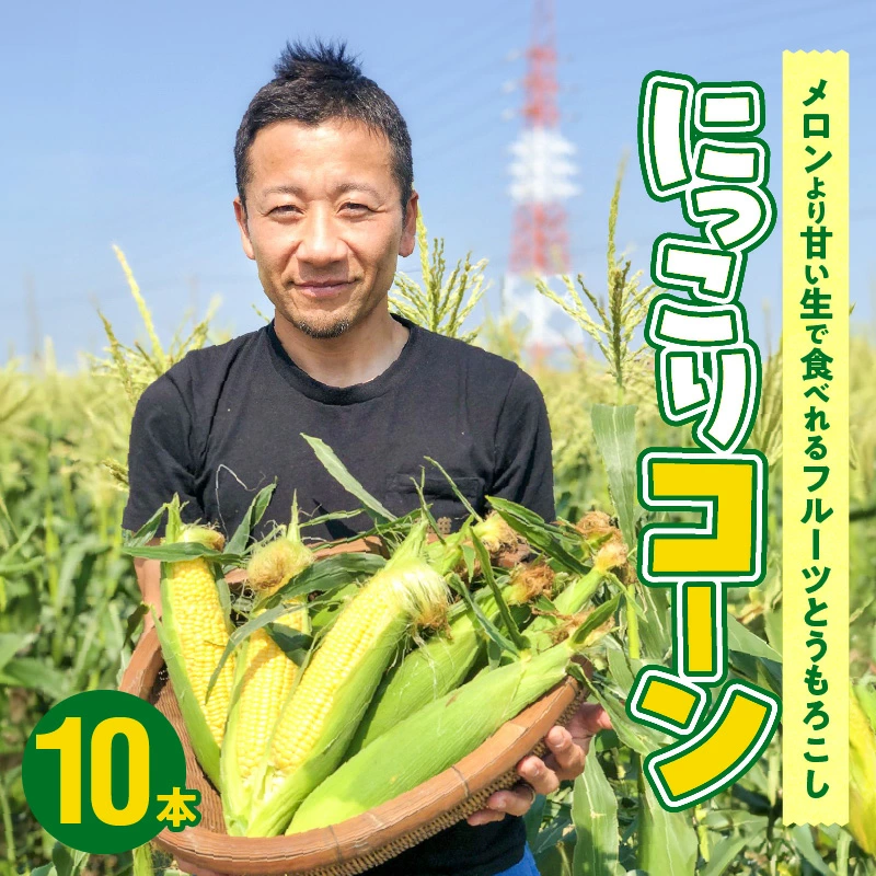 【2025年発送】朝採り直送 メロンより甘い 生とうもろこし“にっこりコーン” 10本　H095-026