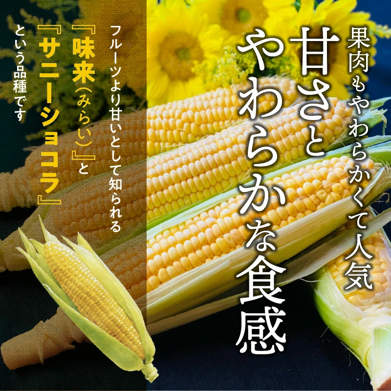 【2025年発送】朝採り直送 メロンより甘い 生とうもろこし“にっこりコーン” 10本　H095-026