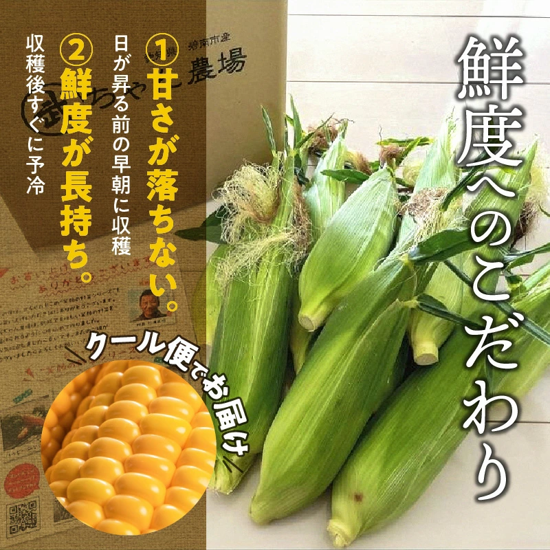 【2025年発送】朝採り直送 メロンより甘い 生とうもろこし“にっこりコーン” 10本　H095-026