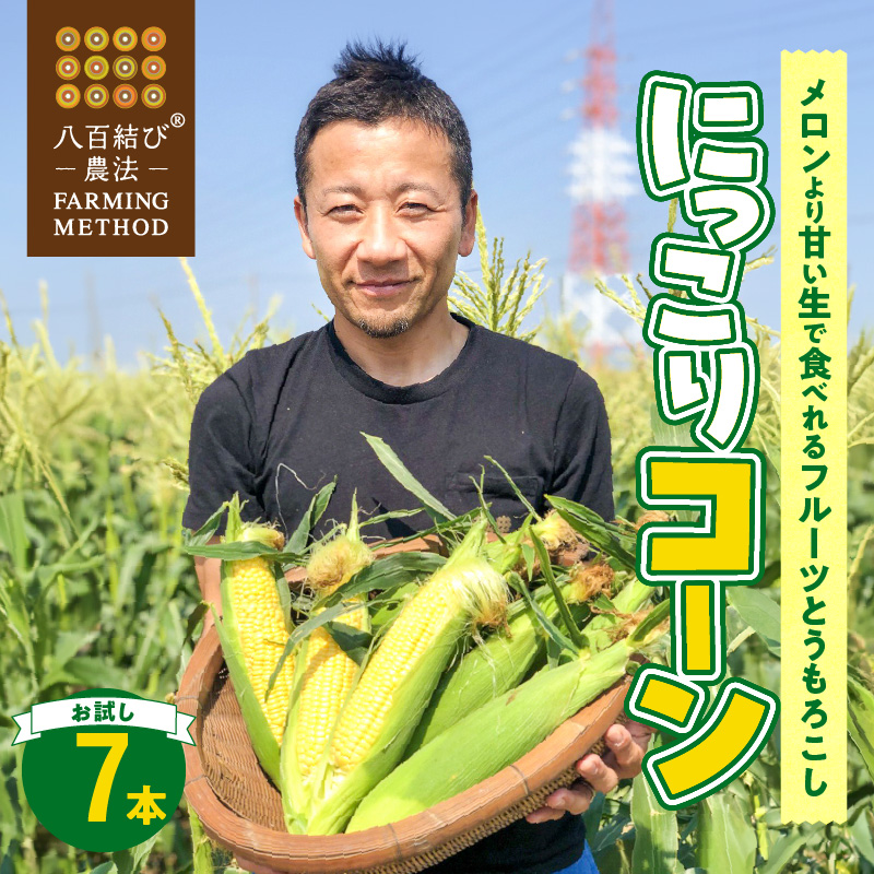 【2025年発送】【お試し】朝採り直送 メロンより甘い 生とうもろこし“にっこりコーン” 7本 H095-027