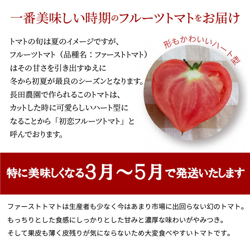 【お試し】たった3ヶ月しか食べられない　幻のファーストトマト 約700g　長田農園 産地直送 トマト とまと 野菜 やさい フルーツ サラダ 濃厚 甘い ご褒美 プレゼント 美容 健康 リピート多数 人気 高評価 先行受付 数量限定 碧南市　H004-120