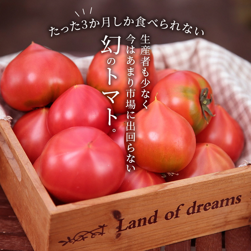 【2026年度予約分】【予約受付】 たった3ヶ月しか食べられない 幻 フルーツ トマト ファーストトマト 容量 約700g 特に美味しい 3月 ? 5月 限定発送 長田農園 完全木熟栽培 果皮 薄い もっちり食感 甘い リコピン 野菜 碧南市 送料無料 H004-120