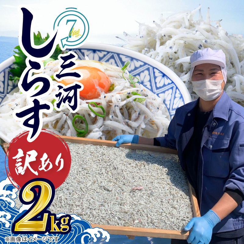訳あり しらす干し 三河しらす 国産 1kg × 2 計 2kg 新鮮 しらす 釜茹で うま味 濃縮 塩分 控えめ まろやかな味わい やみつき ご飯のお供 おつまみ 酒の肴 しらす丼 サラダ 魚 海産物 冷凍 お取り寄せ グルメ 食品 愛知県 碧南市 送料無料 H018-040