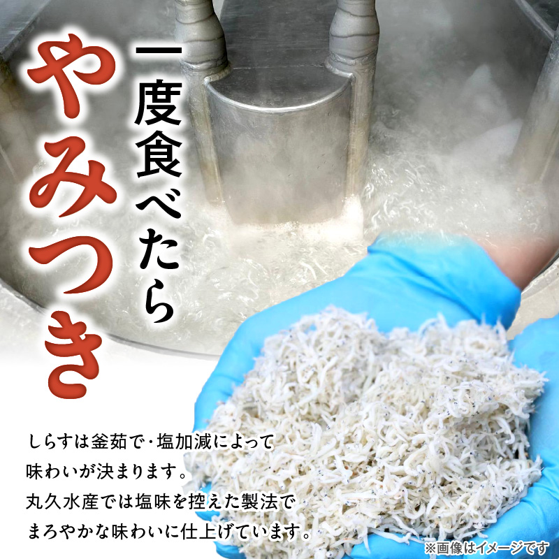 訳あり しらす干し 三河しらす 国産 1kg × 2 計 2kg 新鮮 しらす 釜茹で うま味 濃縮 塩分 控えめ まろやかな味わい やみつき ご飯のお供 おつまみ 酒の肴 しらす丼 サラダ 魚 海産物 冷凍 お取り寄せ グルメ 食品 愛知県 碧南市 送料無料 H018-040