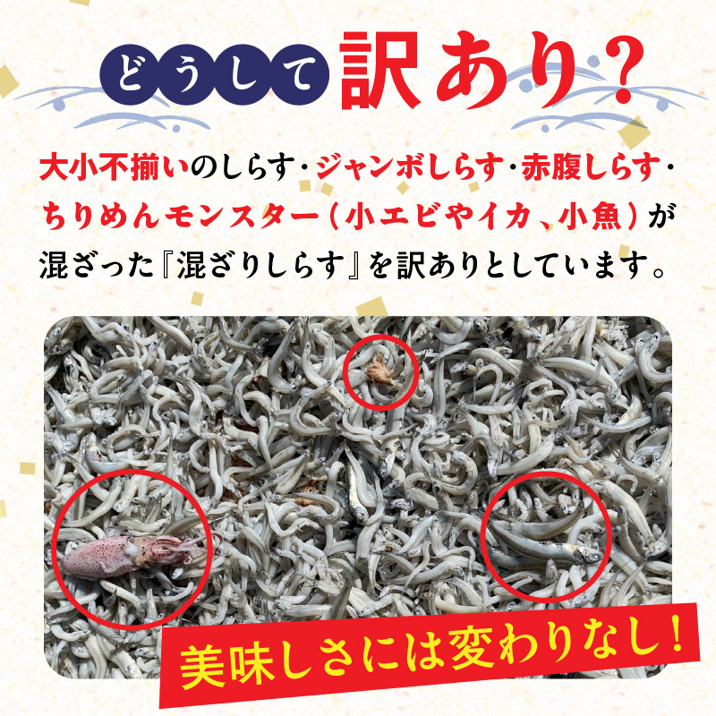 訳あり しらす干し 三河しらす 国産 1kg × 2 計 2kg 新鮮 しらす 釜茹で うま味 濃縮 塩分 控えめ まろやかな味わい やみつき ご飯のお供 おつまみ 酒の肴 しらす丼 サラダ 魚 海産物 冷凍 お取り寄せ グルメ 食品 愛知県 碧南市 送料無料 H018-040