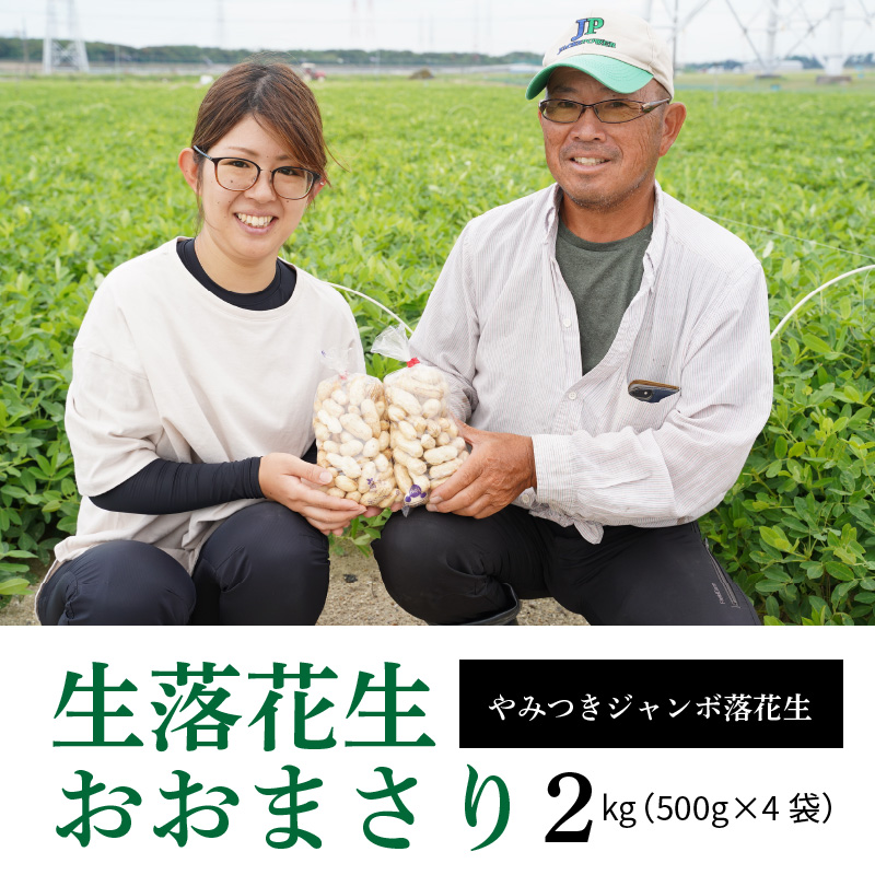 生落花生 おおまさり 2kg とれたて 耕地の美味しい野菜シリーズ第1弾　H132-022