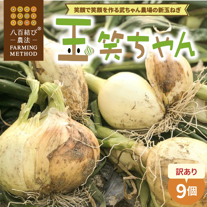 【食品ロス削減】（訳あり）笑顔で笑顔を作る武ちゃん農場の新玉ねぎ“玉笑ちゃん” 9個　H095-030