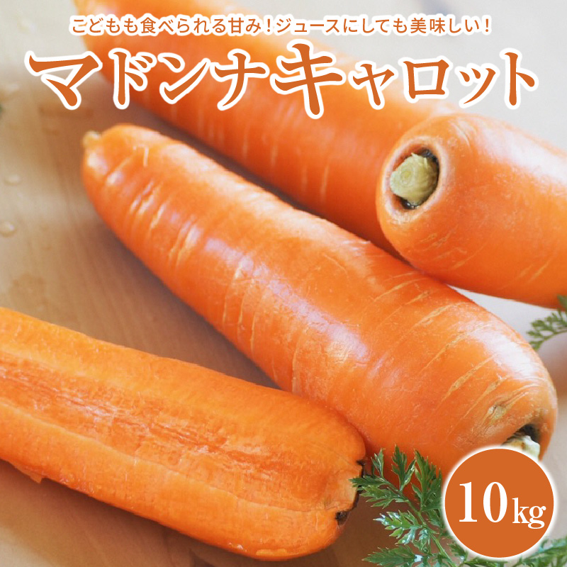 ＜フジテレビ『どっちのふるさと？』で紹介されました！＞ こどもも食べられる甘み！ジュースにしても美味しい！「マドンナキャロット」 10kg にんじん 野菜 H105-123