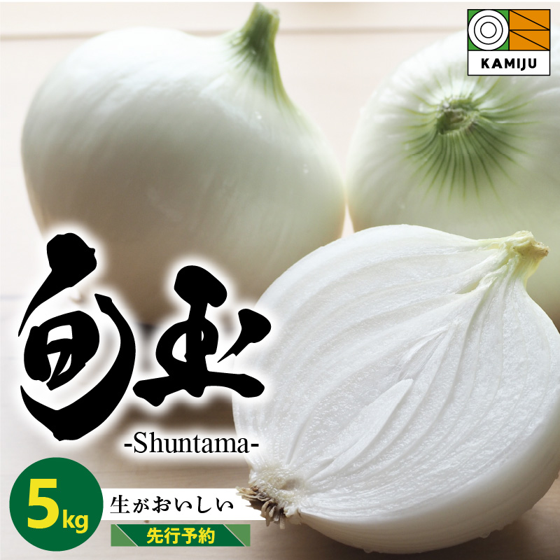 (2026年発送)新玉ねぎ 生がおいしい 神重農産のブランド玉ねぎ「旬玉」5kg ブランド玉ねぎ 玉ねぎ 国産 愛知県産 野菜 やさい 農家直送 畑直送 旬 期間限定 たまねぎ 先行予約 旬 特産 高評価 高リピート 人気 H105-176
