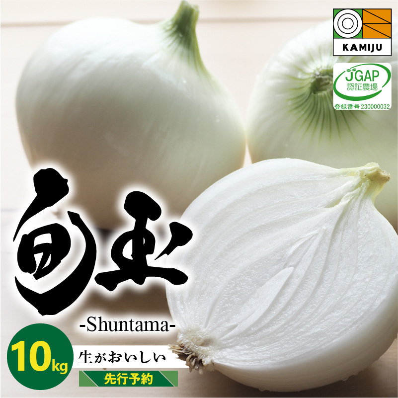新玉ねぎ 生がおいしい 神重農産のブランド玉ねぎ「旬玉」10kg ブランド玉ねぎ 玉ねぎ 国産 愛知県産 野菜 やさい 農家直送 畑直送 旬 期間限定 たまねぎ 先行予約 旬 特産 高評価 高リピート 人気　H105-111
