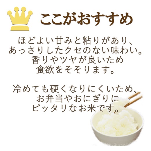 【すぐにお届け&日時指定可】愛知県産あいちのかおり 10kg　こめ コメ ごはん 安心安全なヤマトライス 米 白米 国産 精米 10キロ　H074-606