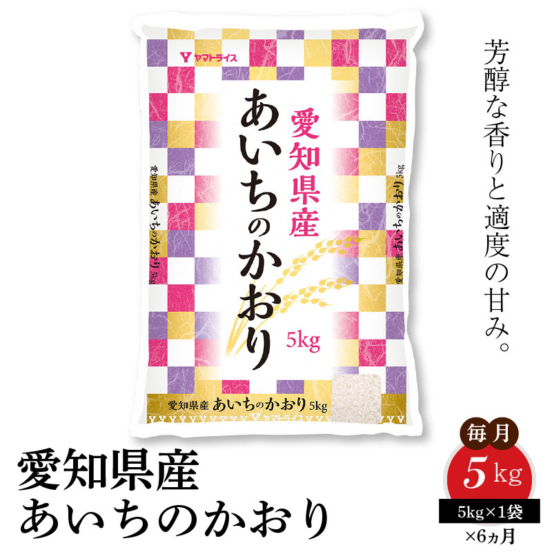 愛知県産あいちのかおり 5kg ※6回定期便　安心安全なヤマトライス　H074-536