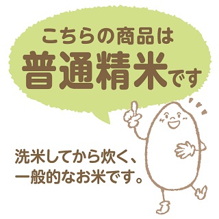 愛知県産あいちのかおり 10kg ※6回定期便　こめ コメ ごはん 安心安全なヤマトライス 米 白米 国産 精米 10キロ　H074-609