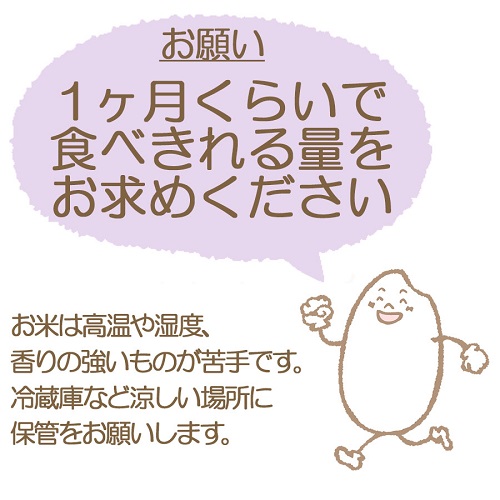 愛知県産あいちのかおり 10kg ※6回定期便　こめ コメ ごはん 安心安全なヤマトライス 米 白米 国産 精米 10キロ　H074-609