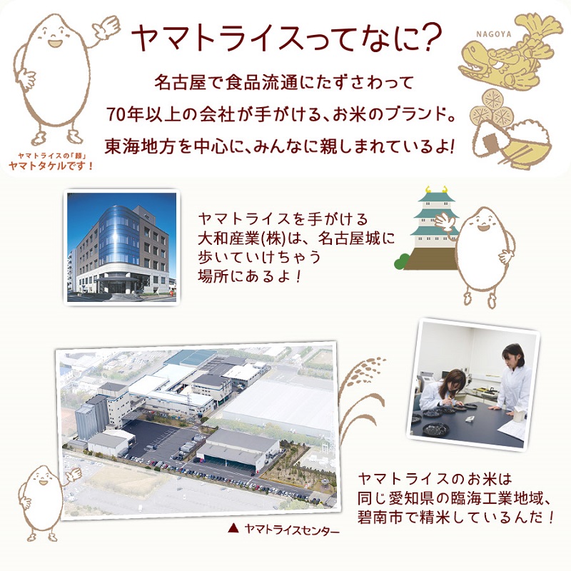 愛知県産あいちのかおり 5kg ※12回定期便　安心安全なヤマトライス　H074-603