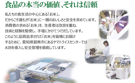 愛知県産あいちのかおり 10kg ※12回定期便　こめ コメ ごはん 安心安全なヤマトライス 米 白米 国産 精米 10キロ　H074-610