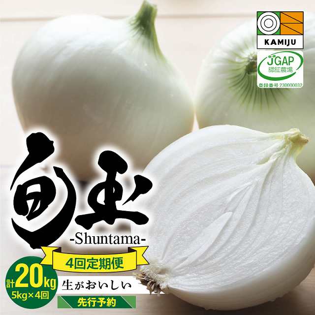 【事前予約】新玉ねぎ 食べ比べ定期便 生がおいしい 神重農産のブランド玉ねぎ「旬玉」5kg×4回　H105-128