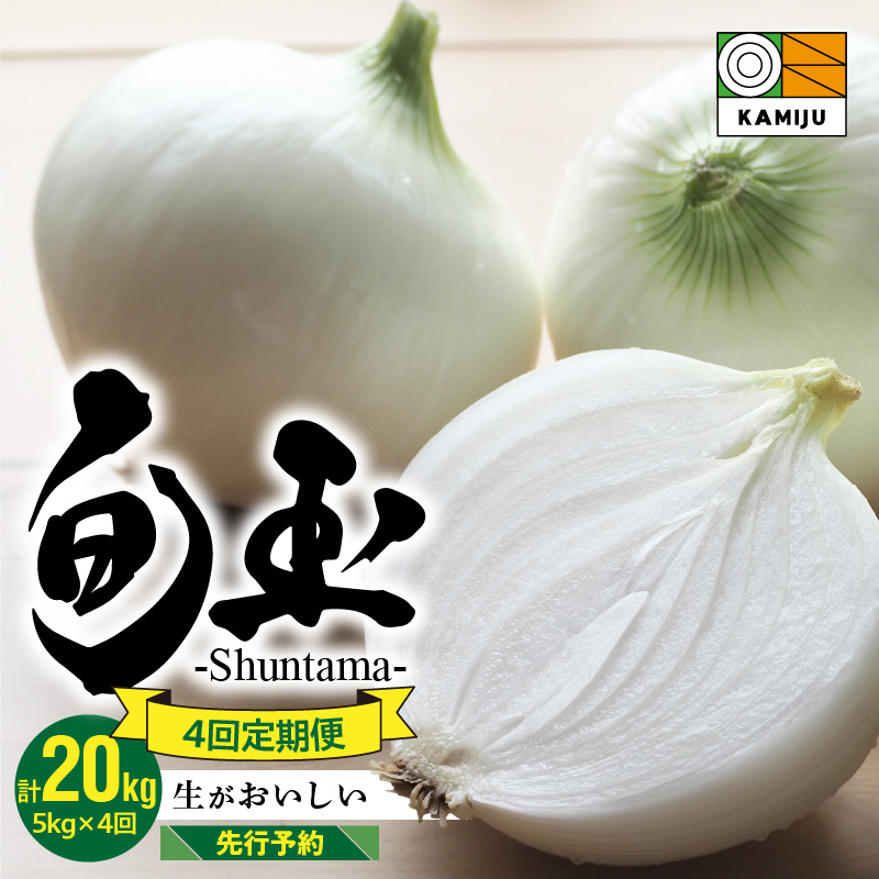 (2026年発送)【先行予約】新玉ねぎ 食べ比べ定期便 生がおいしい 神重農産のブランド玉ねぎ「旬玉」5kg×4回　H105-128