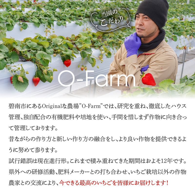 （予約受付中）【12月から順次発送】まるで赤いサファイア!!丹精込めた完熟いちご!! 約900g　H130-010