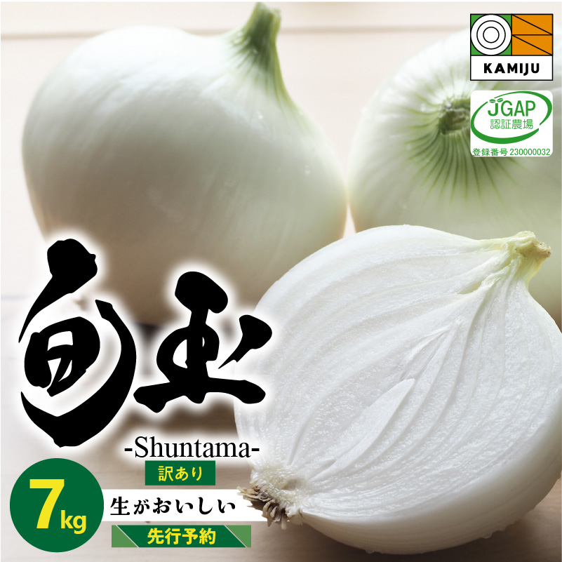 訳あり 新玉ねぎ 生がおいしい 神重農産のブランド玉ねぎ「旬玉」7kg ブランド玉ねぎ 玉ねぎ 国産 愛知県産 野菜 やさい 農家直送 畑直送 旬 期間限定 たまねぎ 先行予約 旬 特産 高評価 高リピート 人気　H105-109