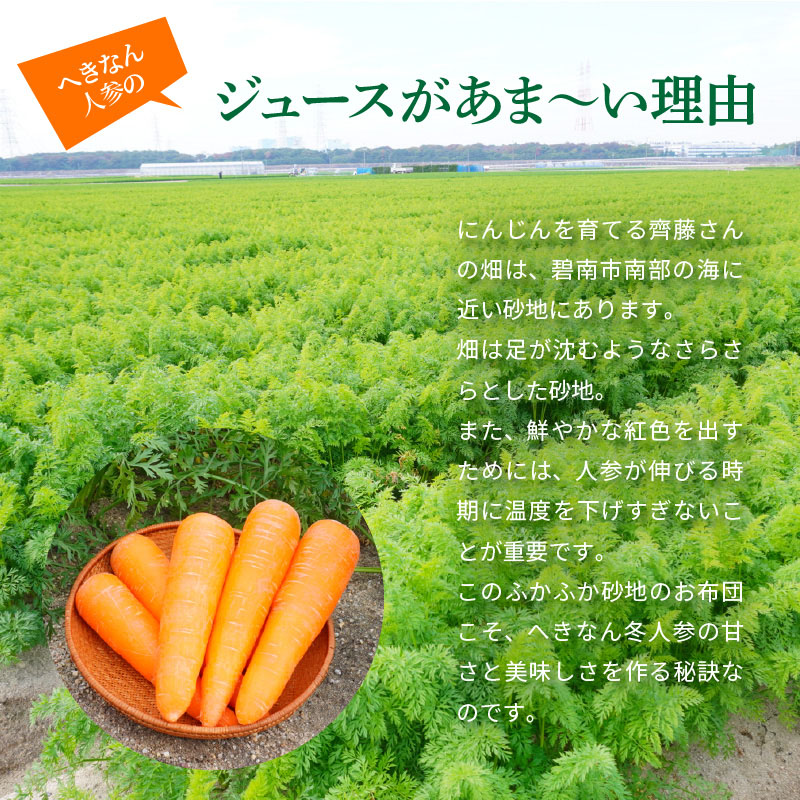 人参100%無添加・無着色!!美味しい人参ジュース!! 720ml×2本　H132-026