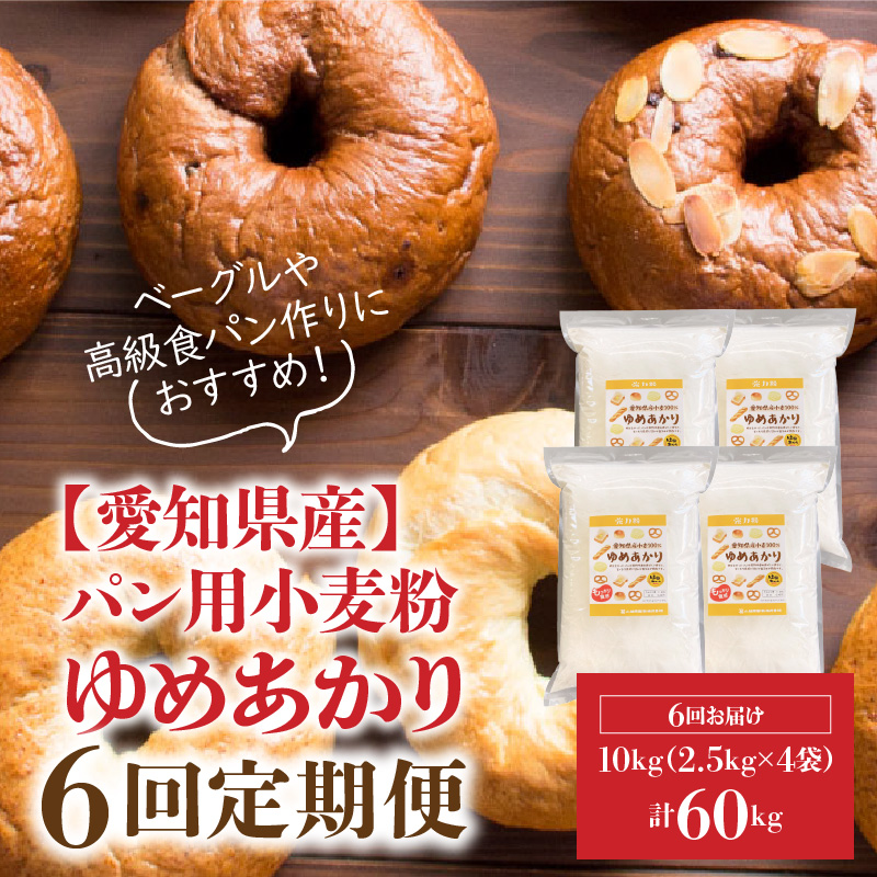 【小麦粉】愛知県産 ゆめあかり 国産 パン用 強力粉 2.5kg×4袋（計10kg） 定期便6回　H008-245