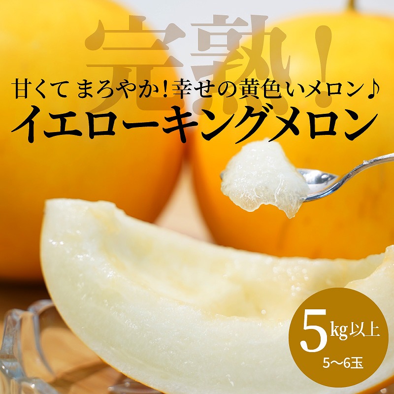 【2026年発送】完熟！イエローキングメロン 5kg以上(5玉～6玉)　H141-017