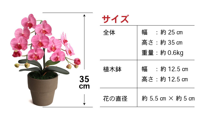 綺麗で丈夫な三河陶器で贈る光触媒胡蝶蘭小輪１本立（モカの陶器×ピンクの花）H100-082