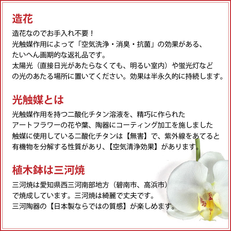 綺麗で丈夫な三河陶器で贈る光触媒胡蝶蘭小輪１本立（ピンクの陶器×桃色の花）H100-080