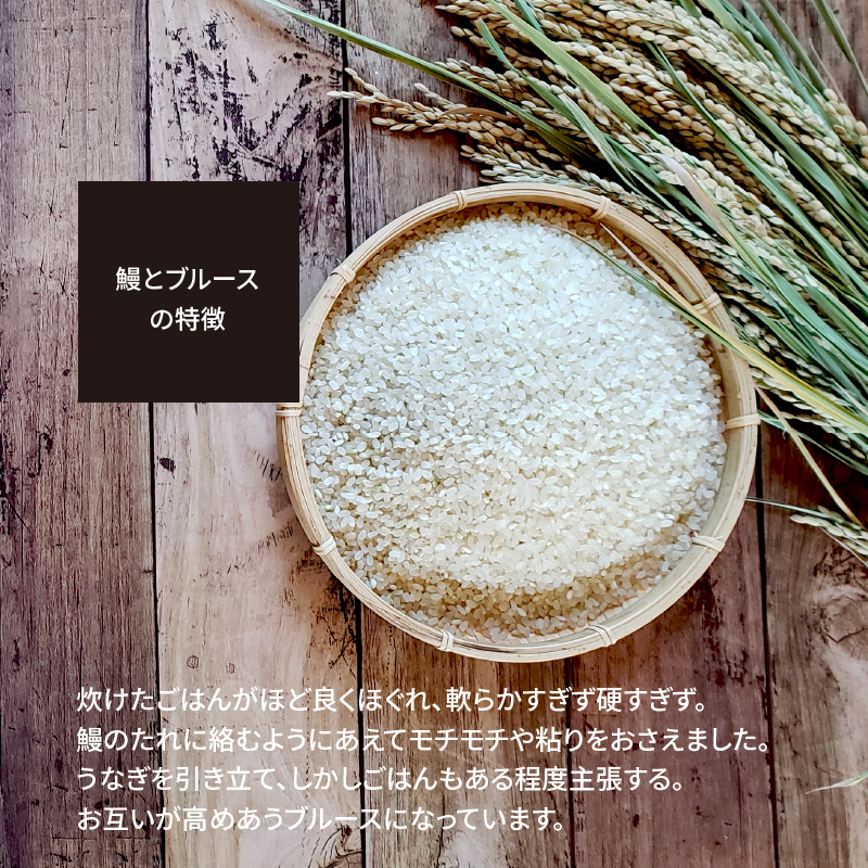 【五ツ星お米マイスター】 うなぎ専用米「鰻とブルース」 5kg こだわりのブレンド米 コメ 白米 精米 H056-150