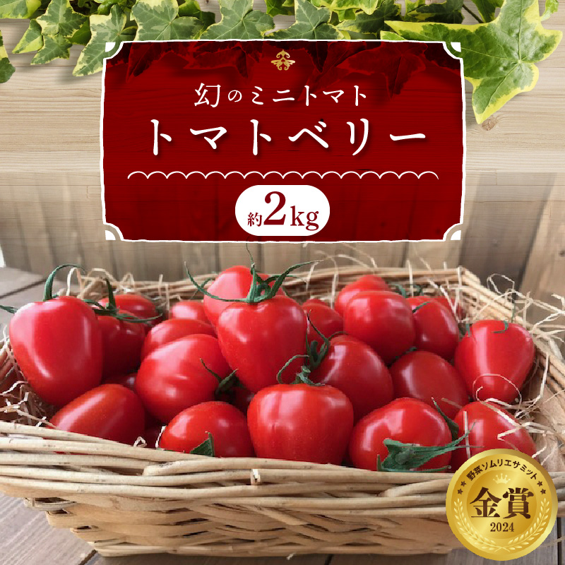 増量約2kg！甘さ抜群!!トマト嫌いでも食べられるトマトベリー 4月～6月発送 野菜ソムリエサミット 金賞 受賞 長田農園 産地直送 トマト とまと 野菜 やさい フルーツ サラダ 濃厚 甘い ご褒美 プレゼント 美容 健康 リピート多数 人気 高評価 数量限定 碧南市 H004-147