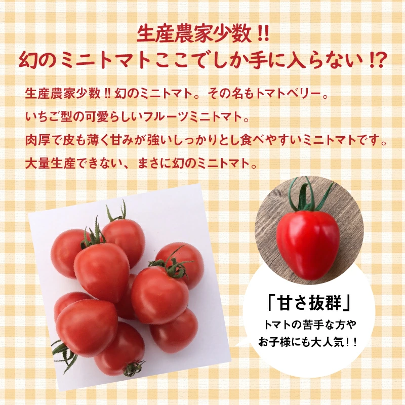 増量約2kg！甘さ抜群!!トマト嫌いでも食べられるトマトベリー 4月～6月発送 野菜ソムリエサミット 金賞 受賞 長田農園 産地直送 トマト とまと 野菜 やさい フルーツ サラダ 濃厚 甘い ご褒美 プレゼント 美容 健康 リピート多数 人気 高評価 数量限定 碧南市 H004-147