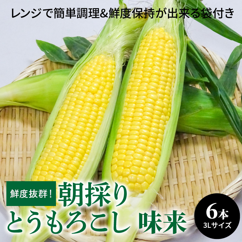 鮮度抜群！朝採り とうもろこし 味来 6本(3Lサイズ) レンジで簡単調理&鮮度保持が出来る袋付き　H132-030