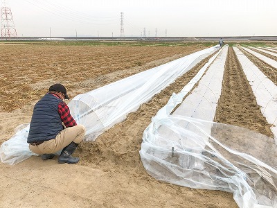 鮮度抜群！朝採り とうもろこし 味来 6本(3Lサイズ) レンジで簡単調理&鮮度保持が出来る袋付き　H132-030