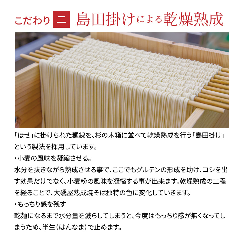 メディア紹介多数！大磯屋製麺所の熟成焼そば（深蒸し仕立て） 20食(中太麺) ナポリタンソース2本付き　H014-037