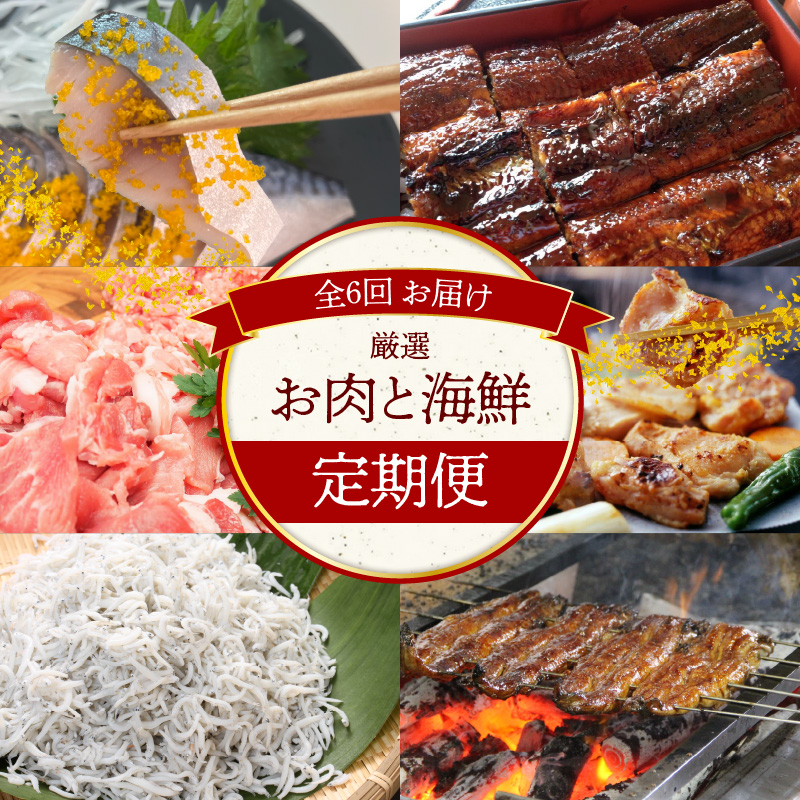 碧南市がチョイスした厳選定期便！ 【お試し】お肉・海鮮　定期便（全6回お届け） H028-085