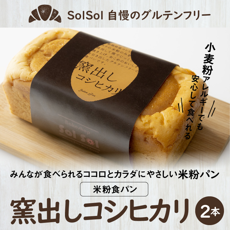 グルテンフリー 米粉食パン 窯出しコシヒカリ 2本　H083-017