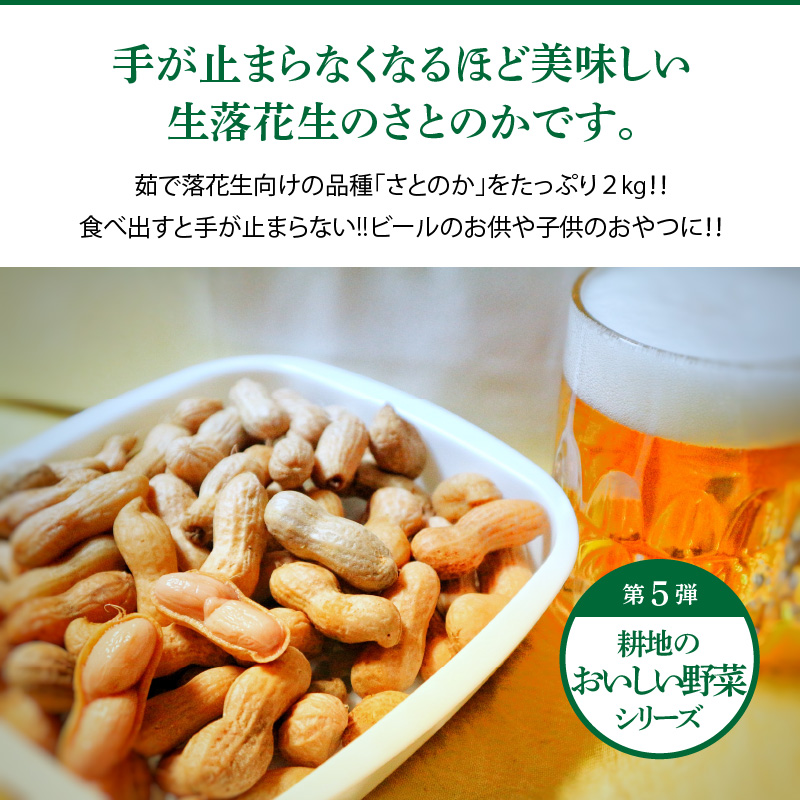 生落花生 さとのか 2kg 高鮮度保持フィルム使用　耕地の美味しい野菜シリーズ第5弾　H132-029